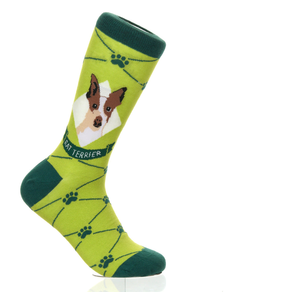Rat Terrier | Argyle Pups