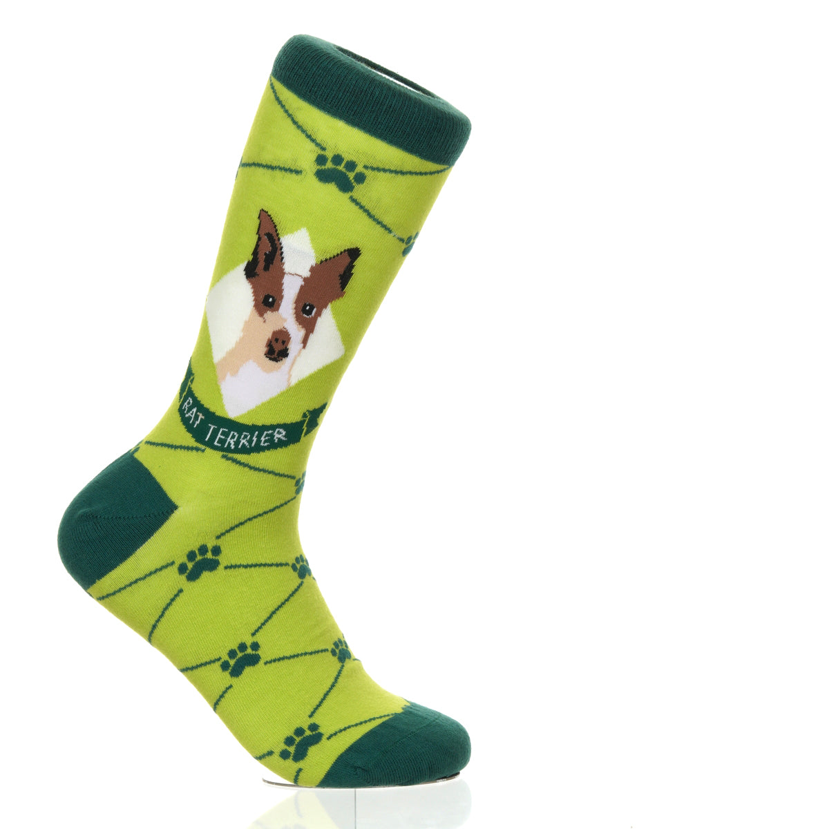 Rat Terrier | Argyle Pups