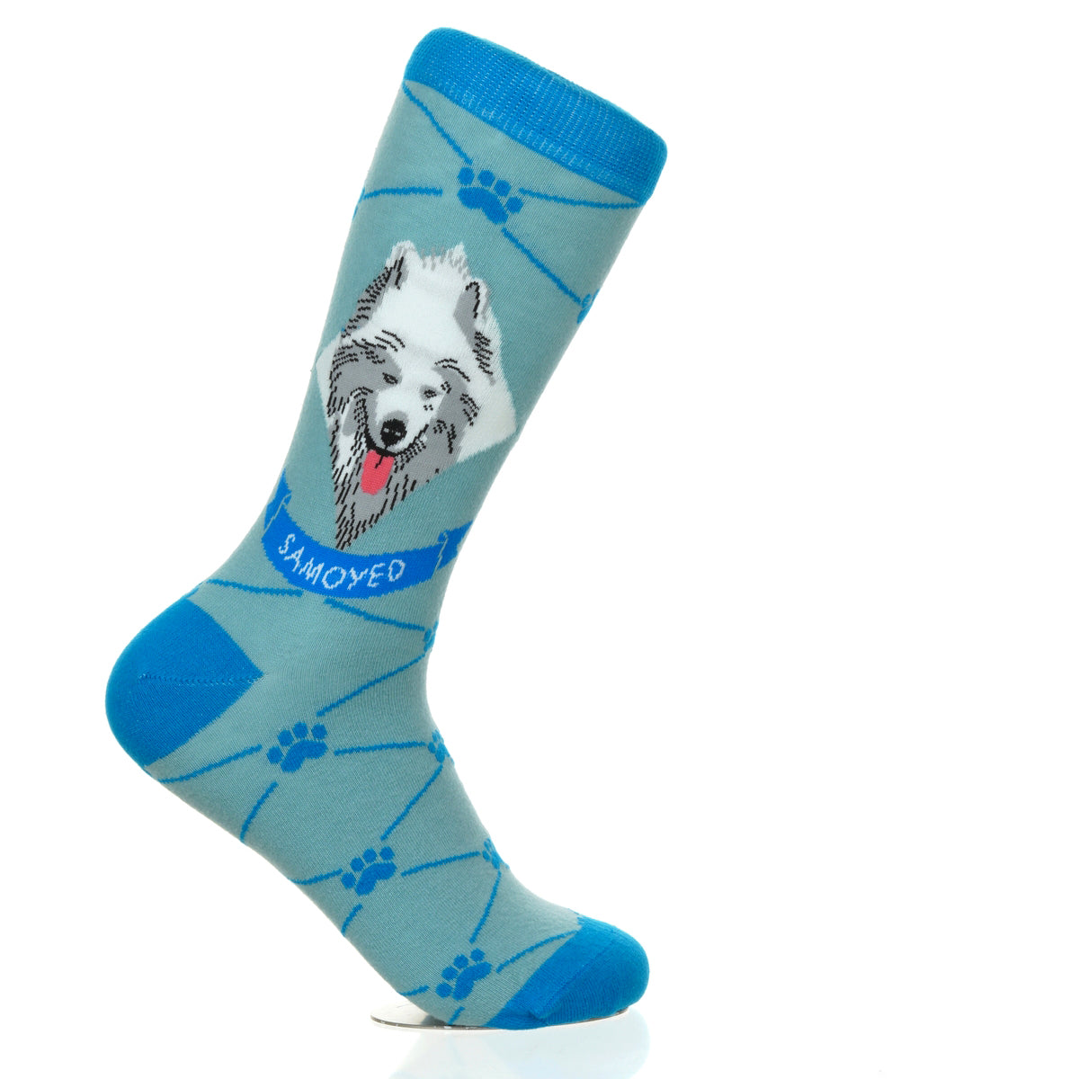 Samoyed | Argyle Pups