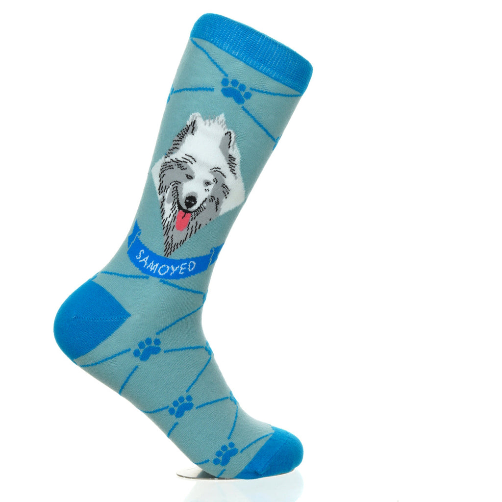 Samoyed | Argyle Pups