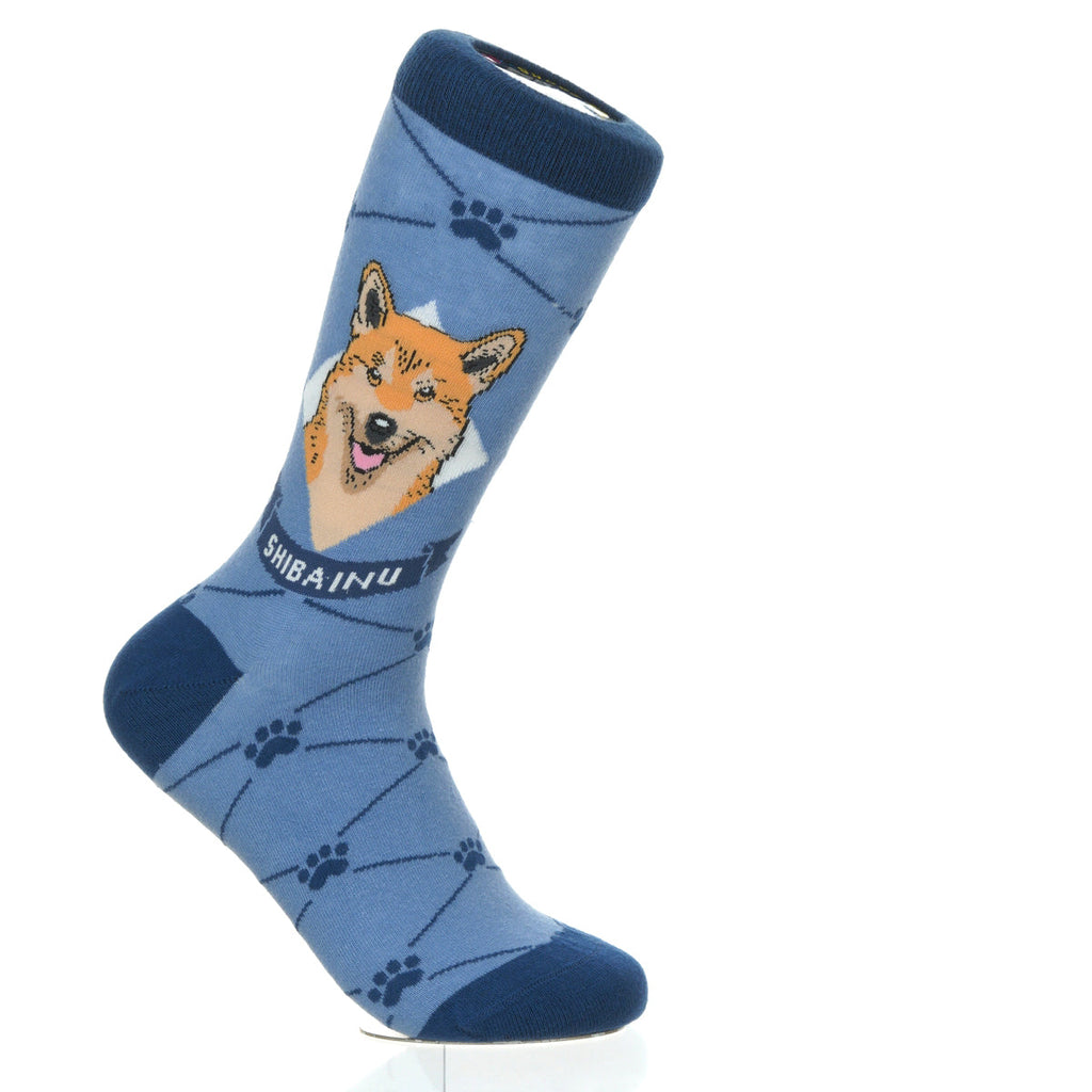 Shiba Inu | Argyle Pups