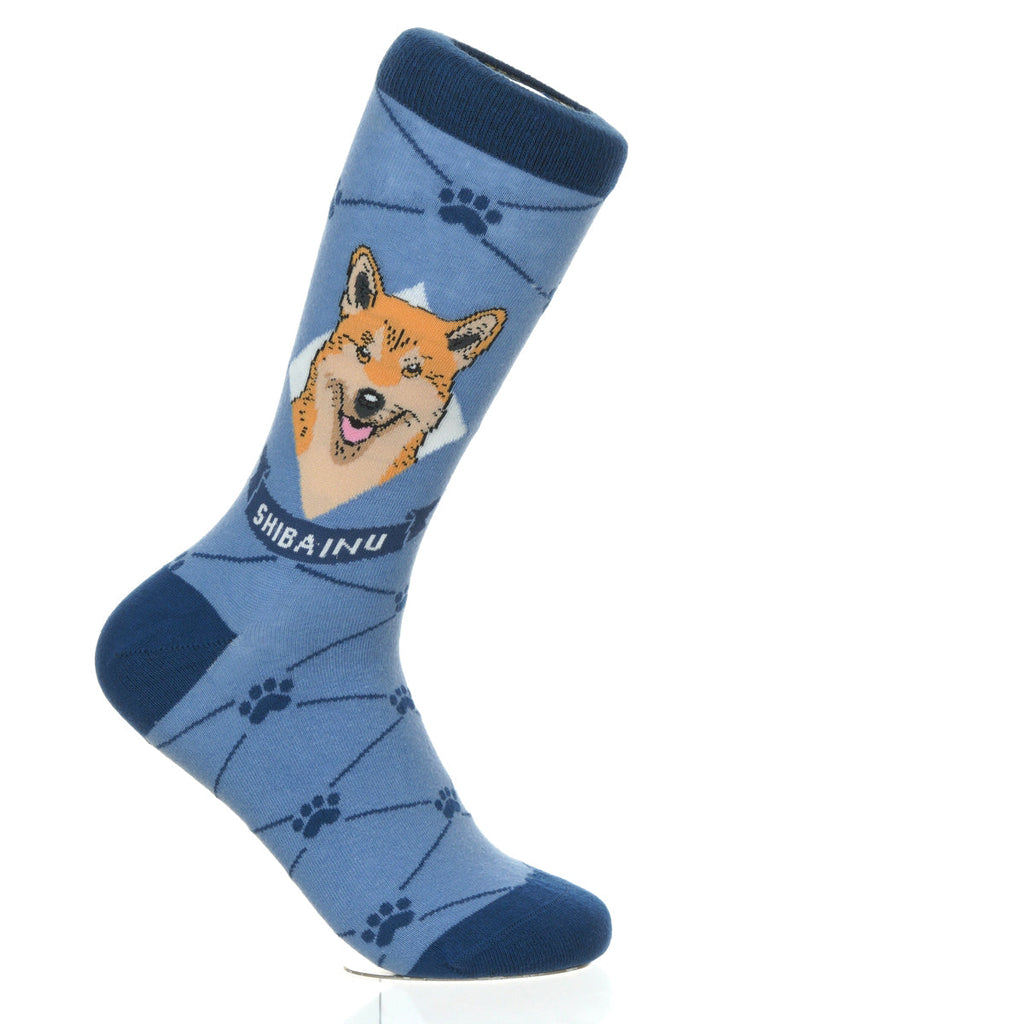 Shiba Inu | Argyle Pups