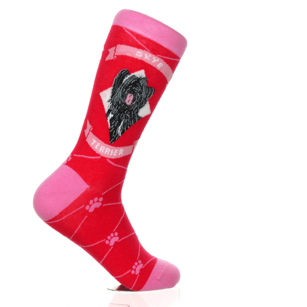 Skye Terrier | Argyle Pups