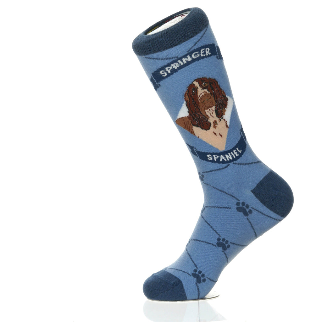 Springer Spaniel | Argyle Pups