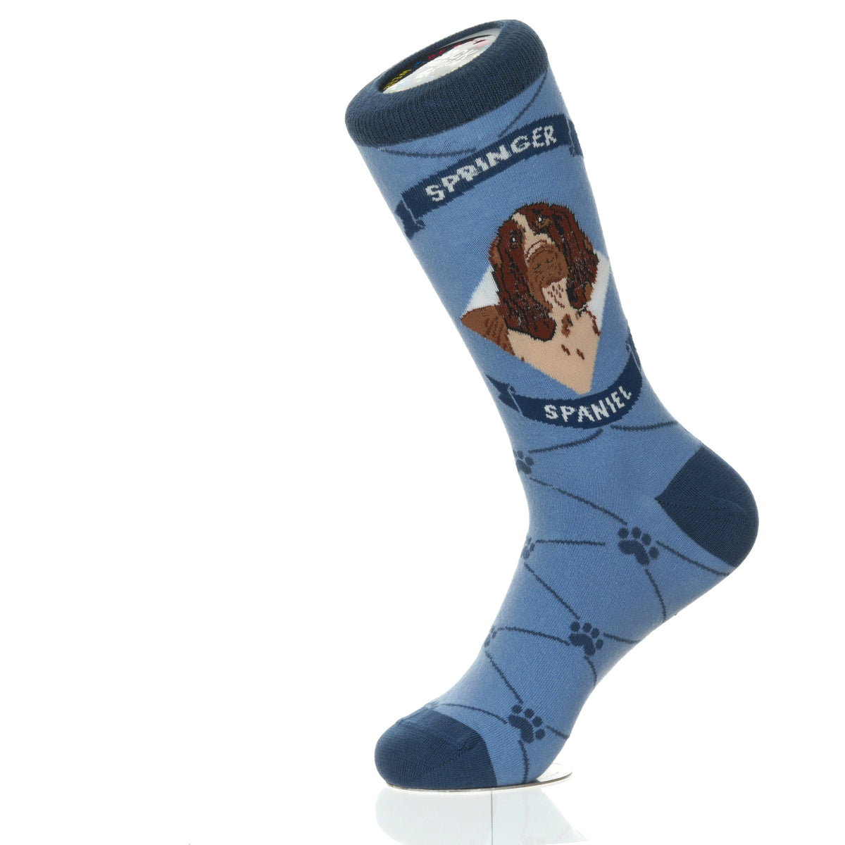 Springer Spaniel | Argyle Pups