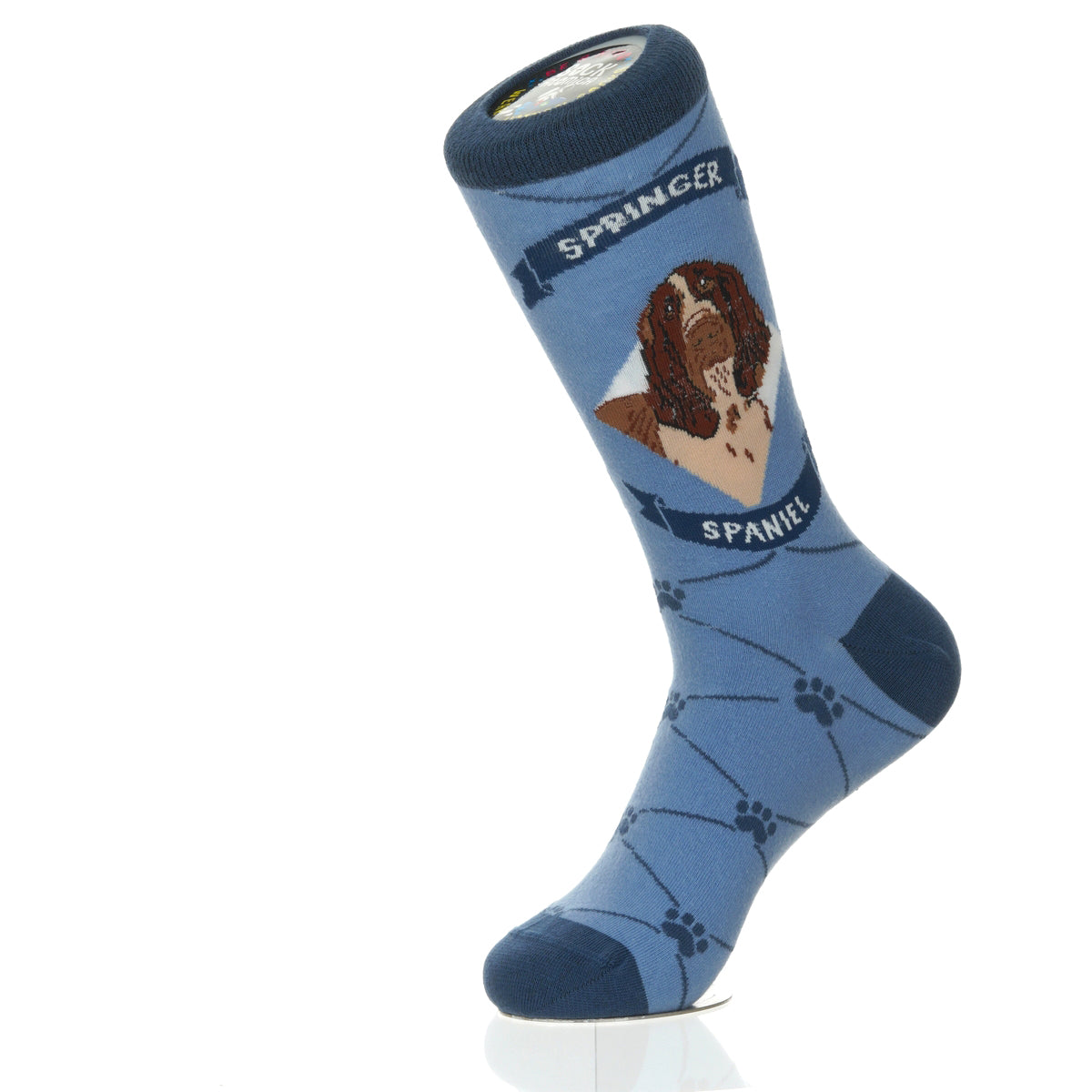 Springer Spaniel | Argyle Pups
