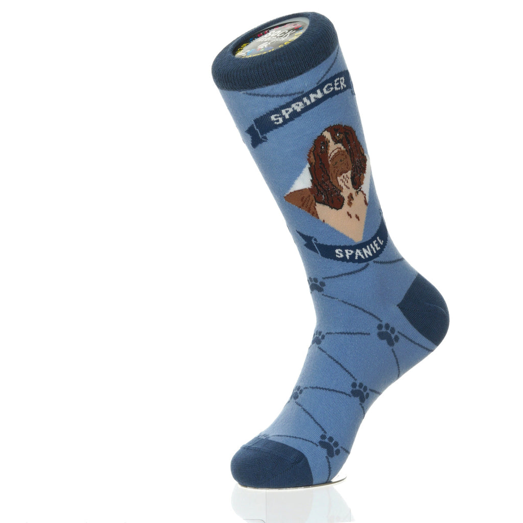 Springer Spaniel | Argyle Pups