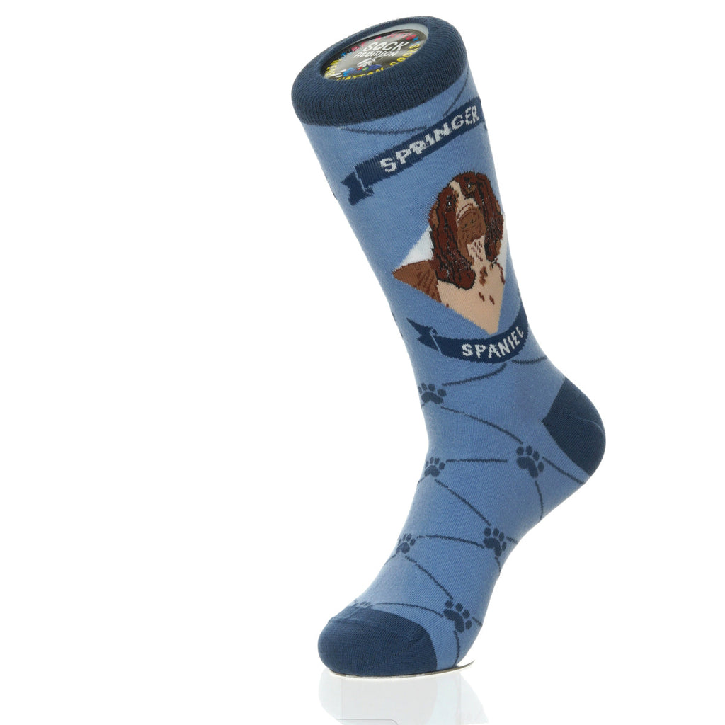 Springer Spaniel | Argyle Pups