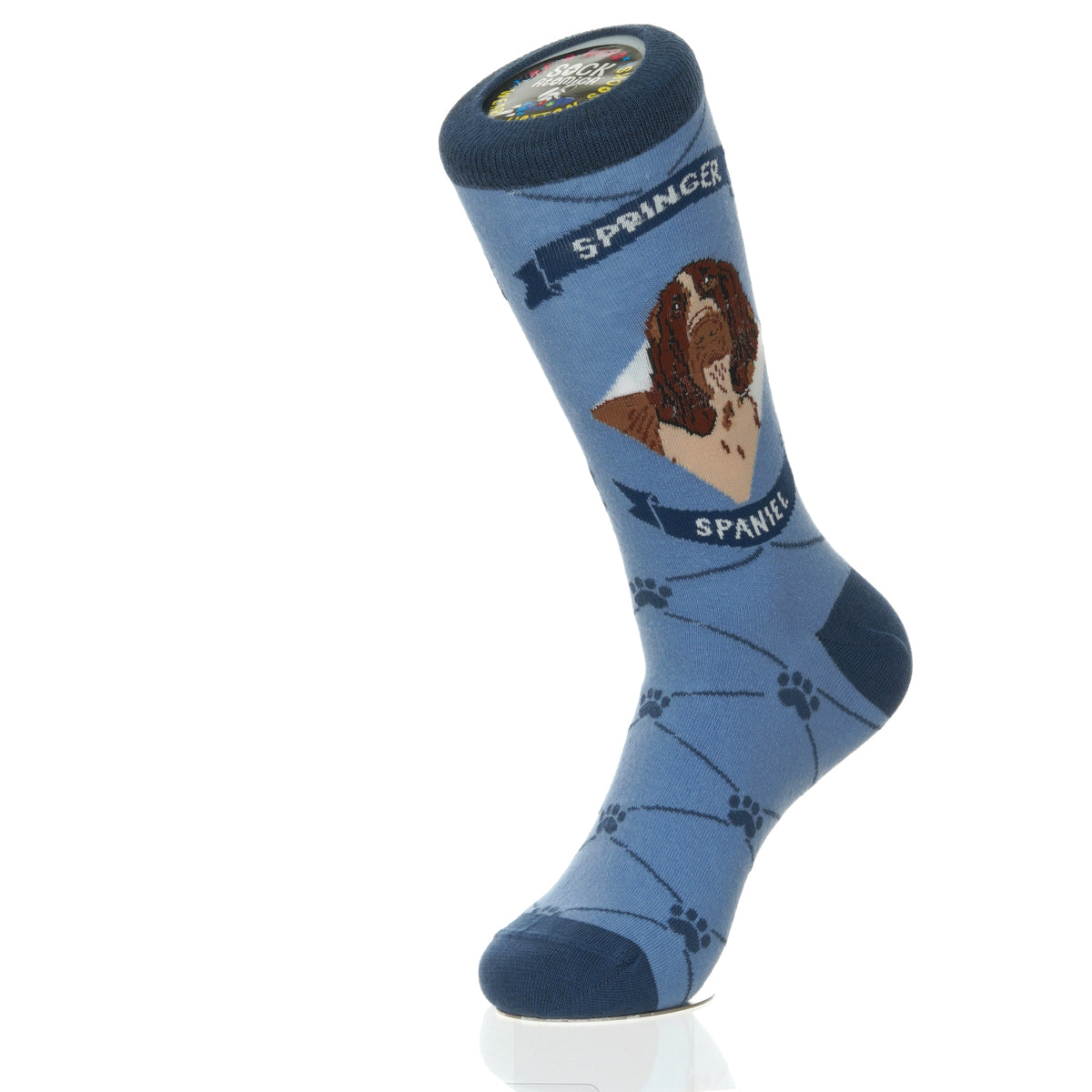 Springer Spaniel | Argyle Pups