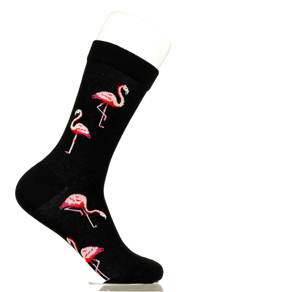 Flamingos