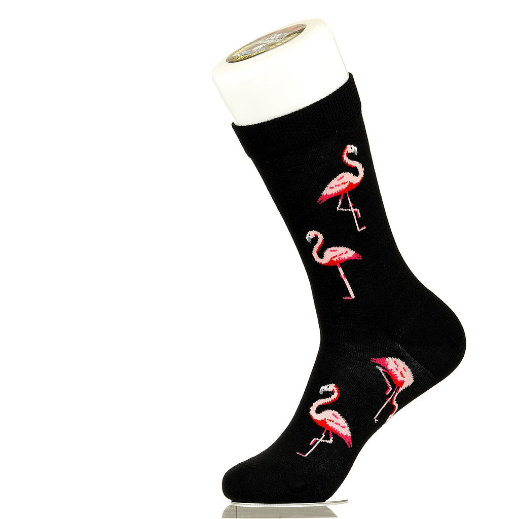 Flamingos