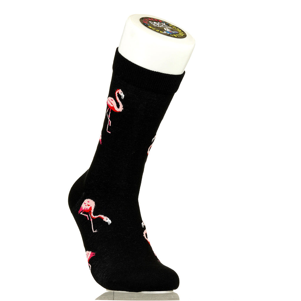 Flamingos