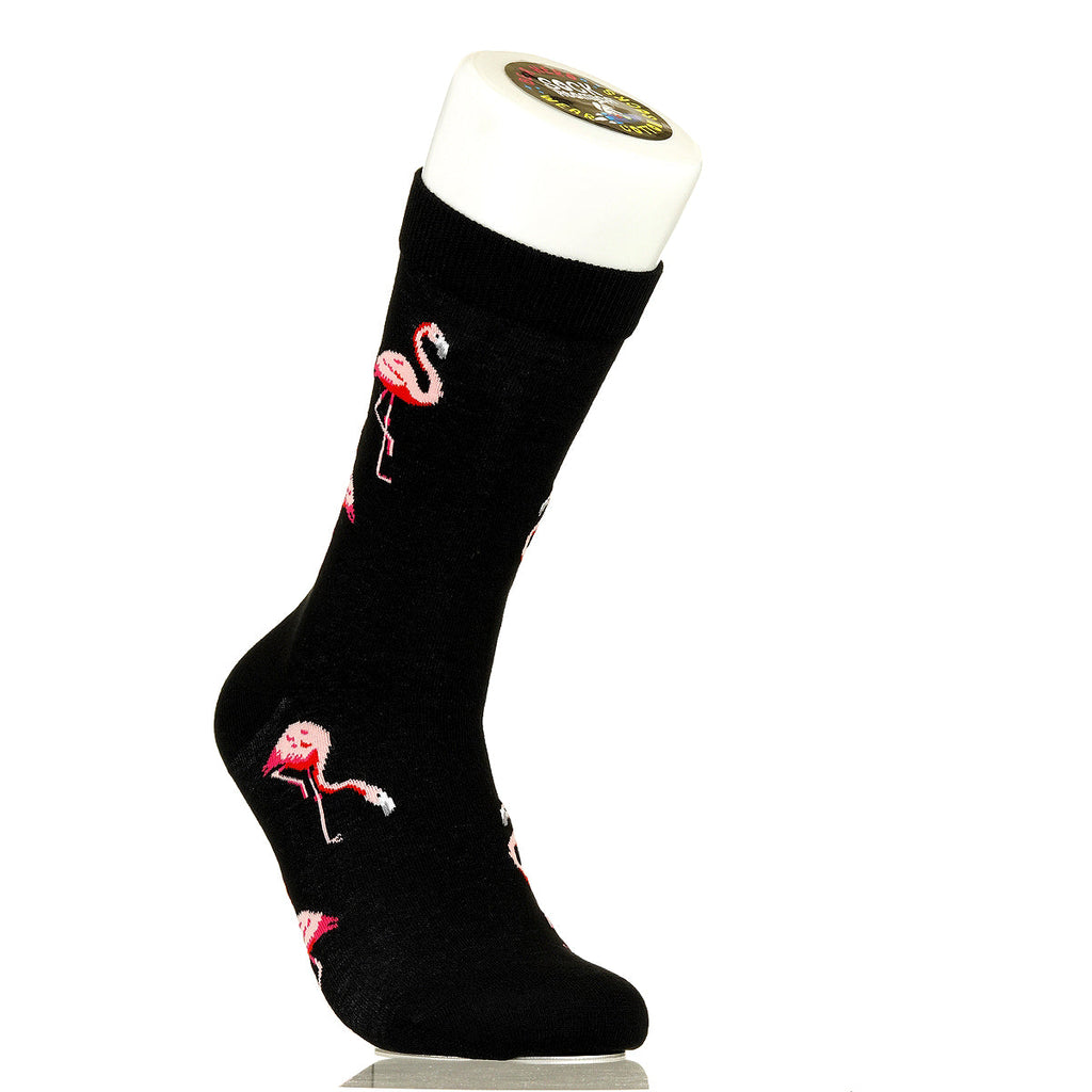Flamingos