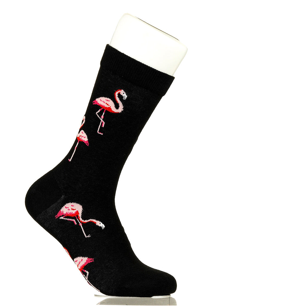 Flamingos